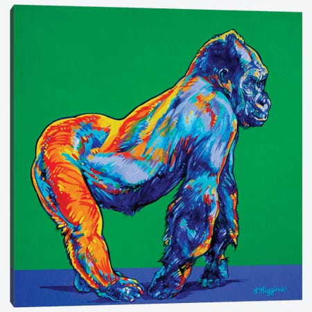 Gorilla Canvas Print #DHG54} by Derrick Higgins Art Print