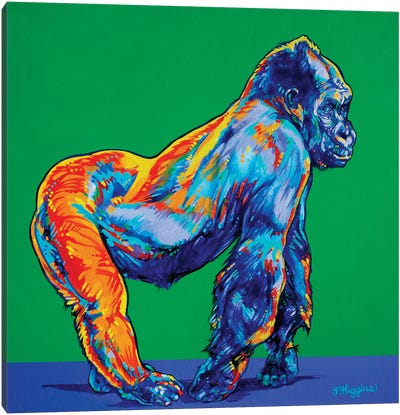 Gorilla Canvas Art Print - Chromatic Kingdom