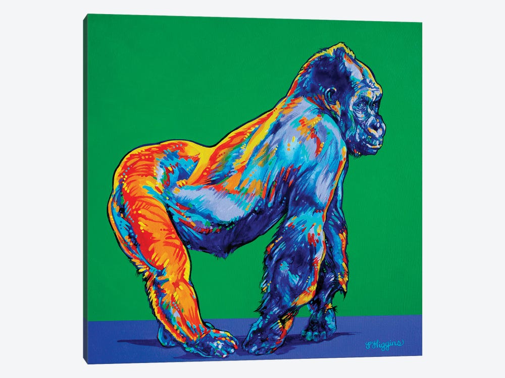 Gorilla by Derrick Higgins 1-piece Canvas Wall Art