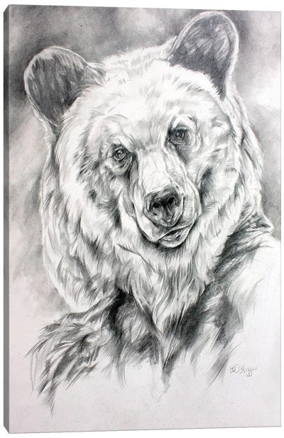 Grizzly Sketch Canvas Art Print - Grizzly Bear Art