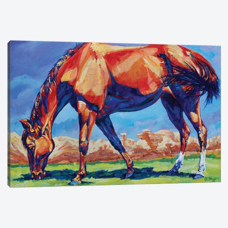 Hoodoo Horse Canvas Print #DHG65} by Derrick Higgins Canvas Art