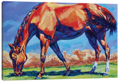 Hoodoo Horse Canvas Art Print - Derrick Higgins 