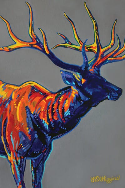 Deer: In The Shadows by Derrick Higgins