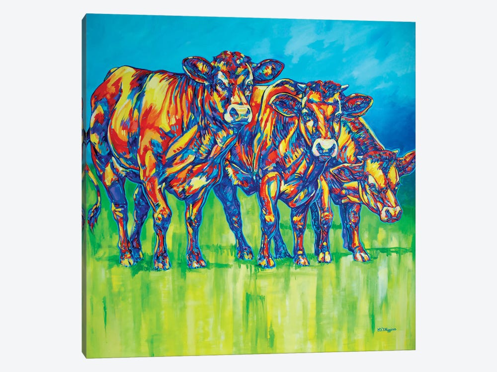 Curious Cows by Derrick Higgins 1-piece Canvas Print