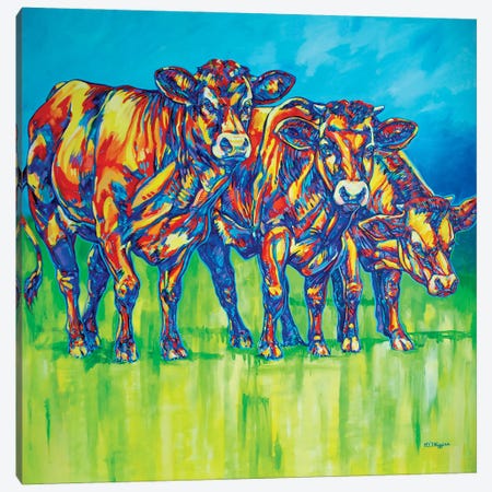 Curious Cows Canvas Print #DHG6} by Derrick Higgins Canvas Art