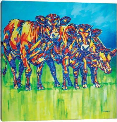 Curious Cows Canvas Art Print - Derrick Higgins 
