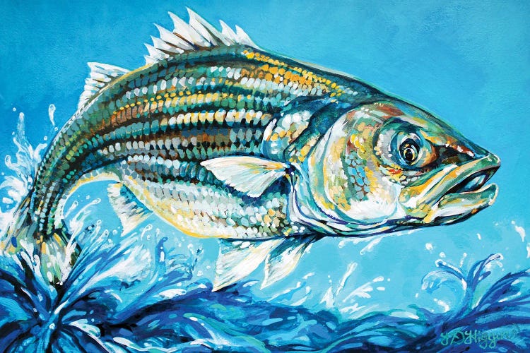 Jumping Jack Bass (Striper) by Derrick Higgins wall art