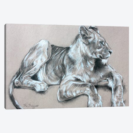 Kapama Lion Cub Canvas Print #DHG73} by Derrick Higgins Canvas Art