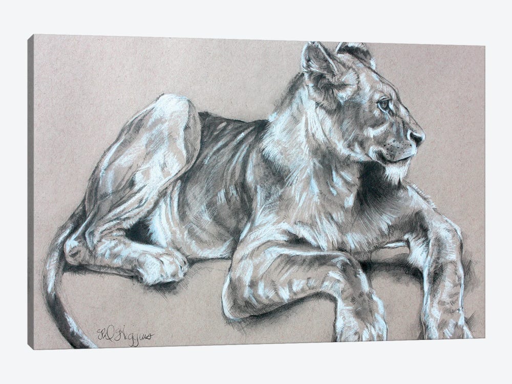 Kapama Lion Cub by Derrick Higgins 1-piece Canvas Print
