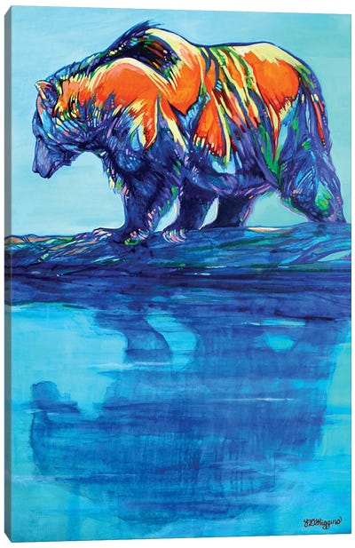 Khutzemateen Grizzly Canvas Art Print - Derrick Higgins 