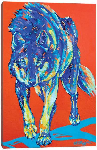 Kootenay Grey Wolf Canvas Art Print - Wolf Art