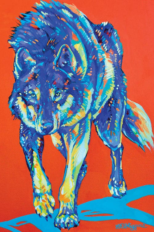 Kootenay Grey Wolf by Derrick Higgins wall art