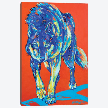 Kootenay Grey Wolf Canvas Print #DHG77} by Derrick Higgins Canvas Print