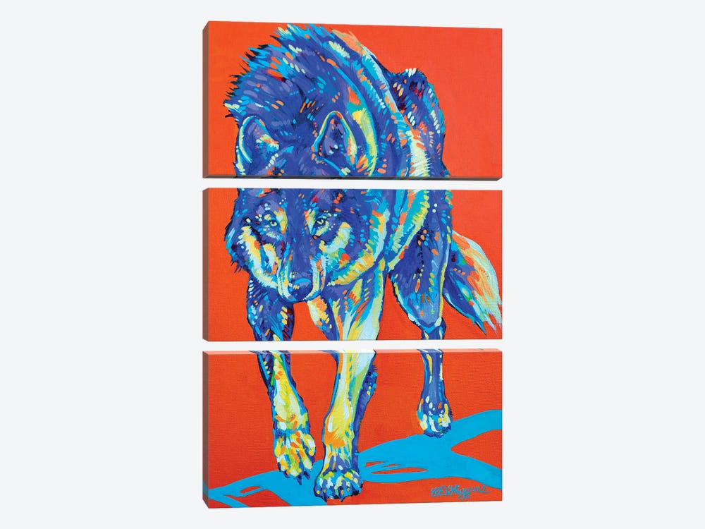 Kootenay Grey Wolf by Derrick Higgins 3-piece Canvas Art Print
