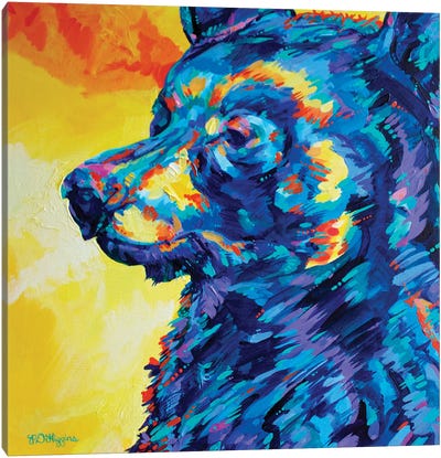 Nita Lake Bear Canvas Art Print - Black Bear Art