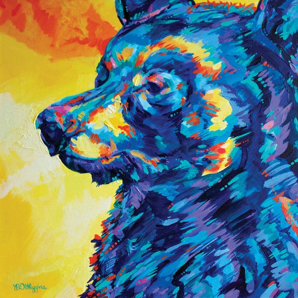 Black Bears: Nita Lake Bear by Derrick Higgins