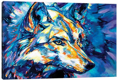 Lakota Wolf Canvas Art Print - Derrick Higgins 
