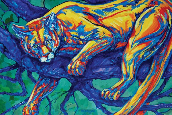 Cougars: Cougar by Derrick Higgins