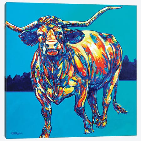 Texas Longhorn Canvas Print #DHG80} by Derrick Higgins Canvas Print