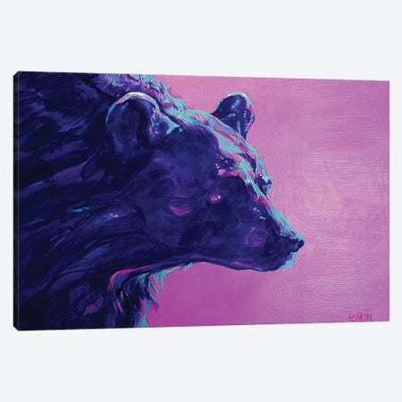 Night Bear Canvas Print #DHG81} by Derrick Higgins Canvas Art Print