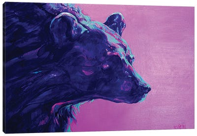 Night Bear Canvas Art Print - Derrick Higgins 