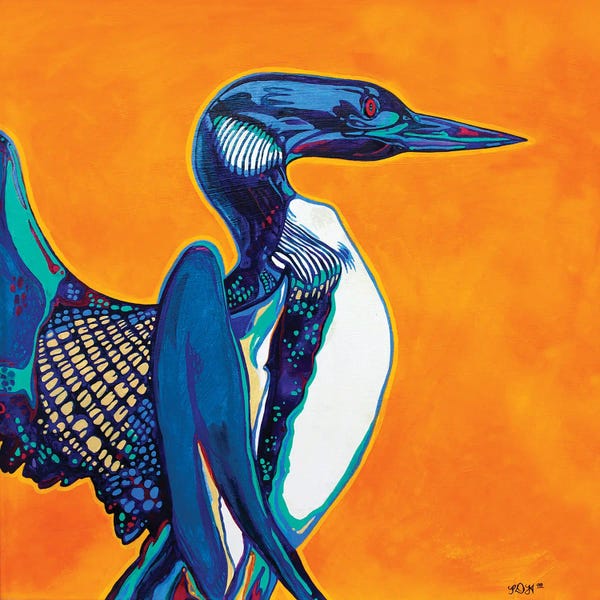 Cabin & Lodge Décor: Loon by Derrick Higgins