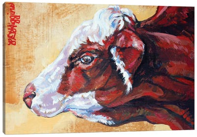 Macwilliams Cows No.1 Canvas Art Print - Derrick Higgins 