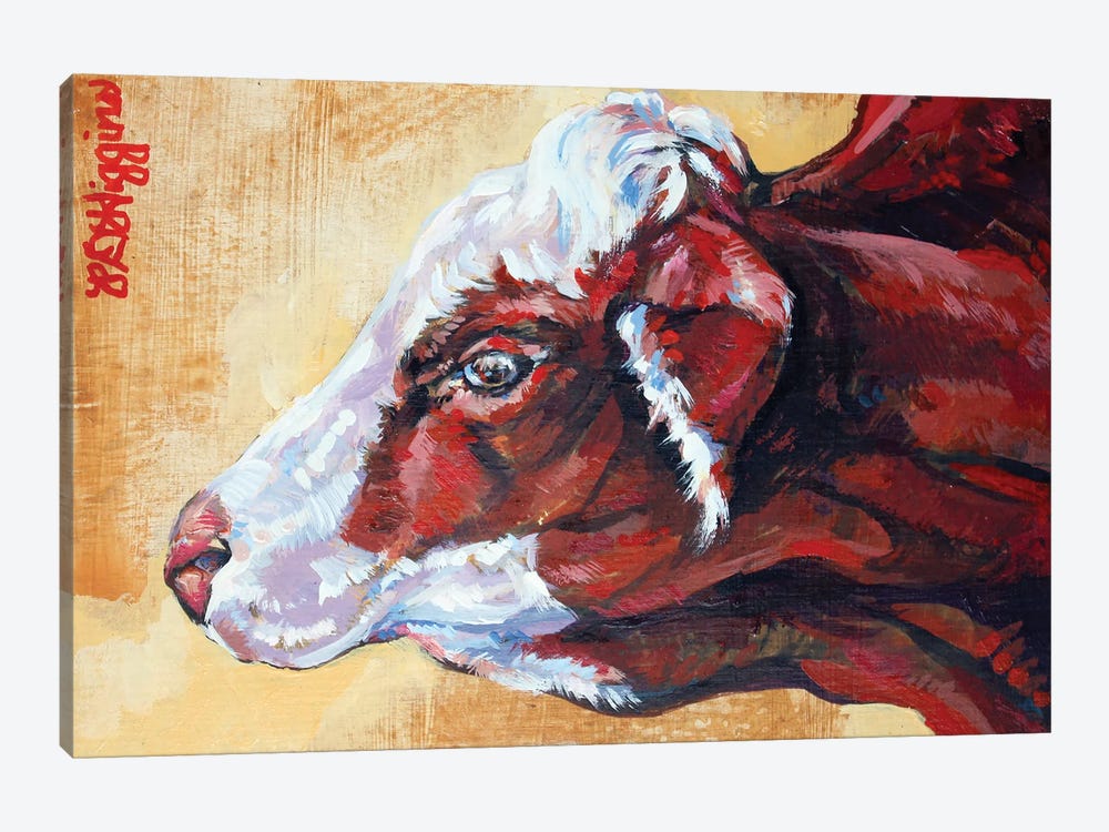 Macwilliams Cows No.1 by Derrick Higgins 1-piece Canvas Art