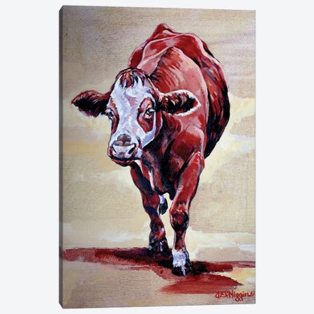 Macwilliams Cows No.6 Canvas Print #DHG88} by Derrick Higgins Canvas Art Print