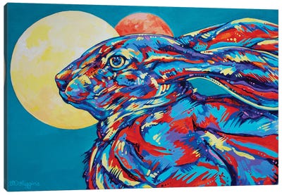 Moon Mars Rabbit Canvas Art Print - Derrick Higgins 