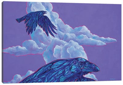 Morning Flight Canvas Art Print - Crow Art