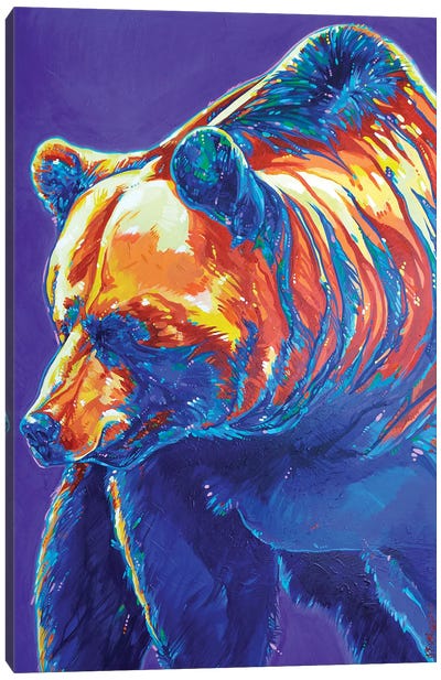 North Cascades Canvas Art Print - Grizzly Bear Art