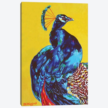 Peacock Canvas Print #DHG93} by Derrick Higgins Canvas Art