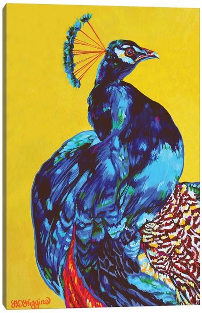 Peacock Canvas Art Print - Derrick Higgins 