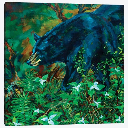 Rainforest Bear Canvas Print #DHG94} by Derrick Higgins Art Print