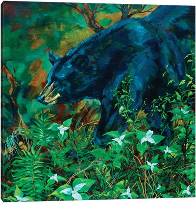Rainforest Bear Canvas Art Print - Black Bear Art