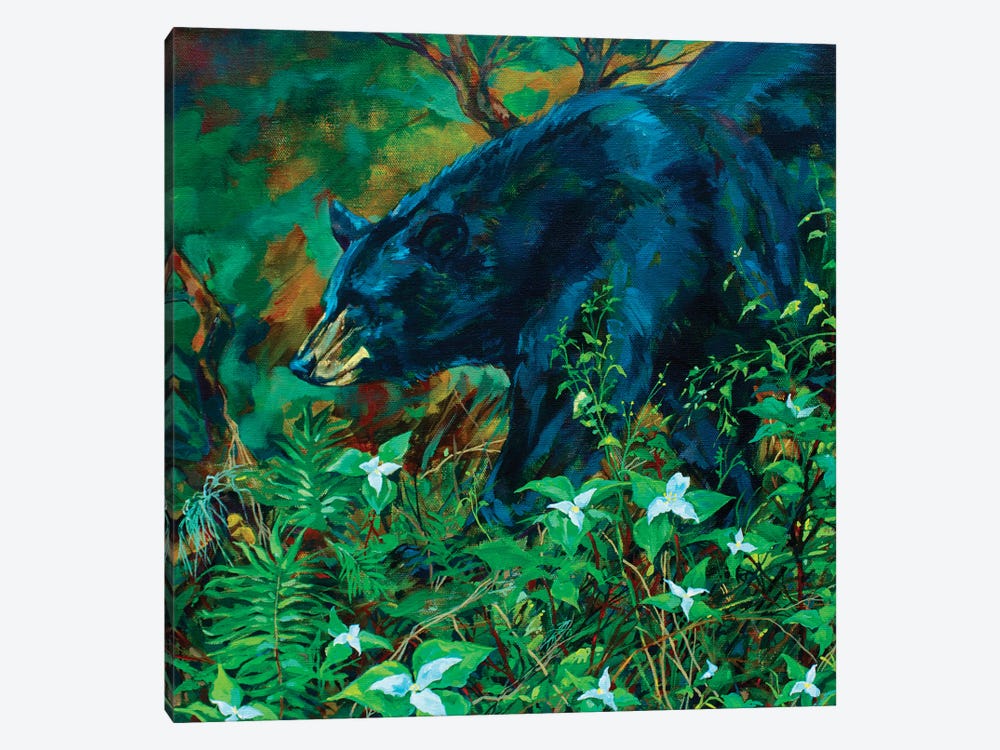 Rainforest Bear by Derrick Higgins 1-piece Canvas Wall Art