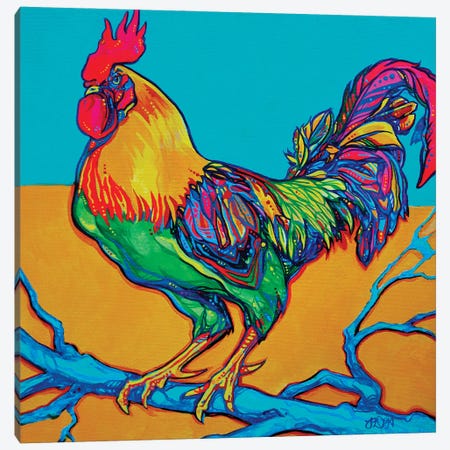 Rooster Perch Canvas Print #DHG98} by Derrick Higgins Canvas Art