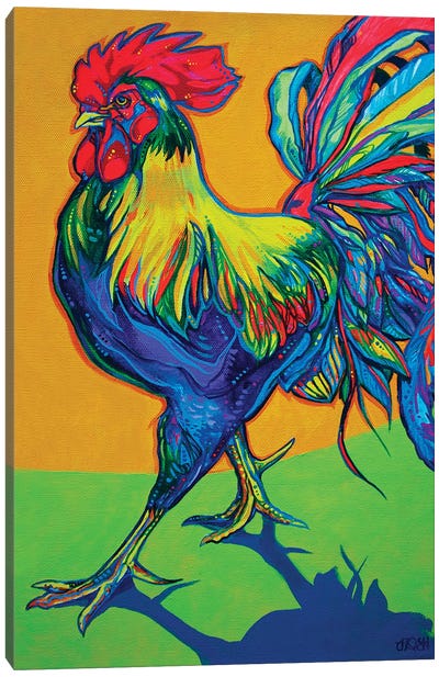 Rooster Strut Canvas Art Print - Derrick Higgins 
