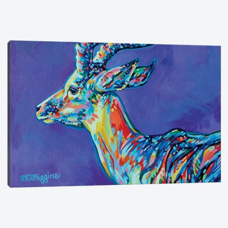 Antelope Canvas Print #DHG9} by Derrick Higgins Art Print