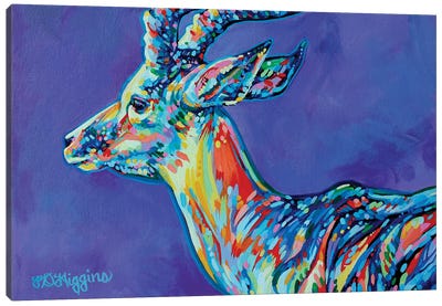 Antelope Canvas Art Print - Derrick Higgins 