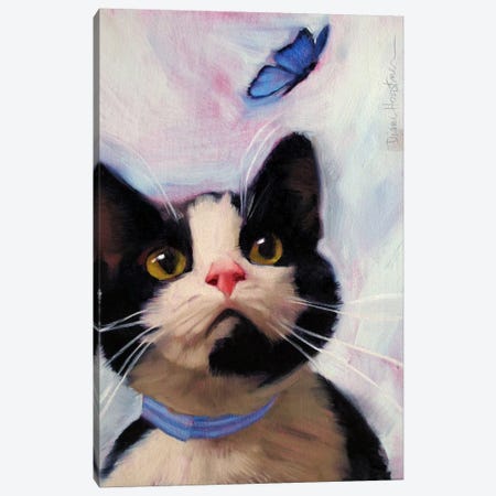Cat And Butterfly Canvas Print #DHO1} by Diane Hoeptner Canvas Print