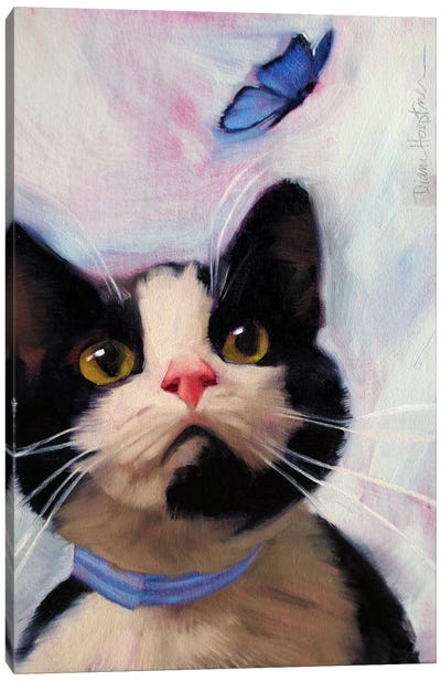 Cat And Butterfly Canvas Art Print - Tuxedo Cat Art