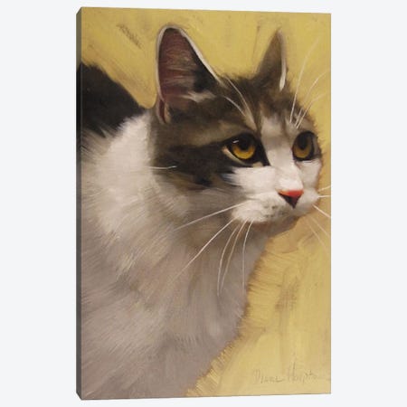 Derby Cat Canvas Print #DHO2} by Diane Hoeptner Canvas Art Print