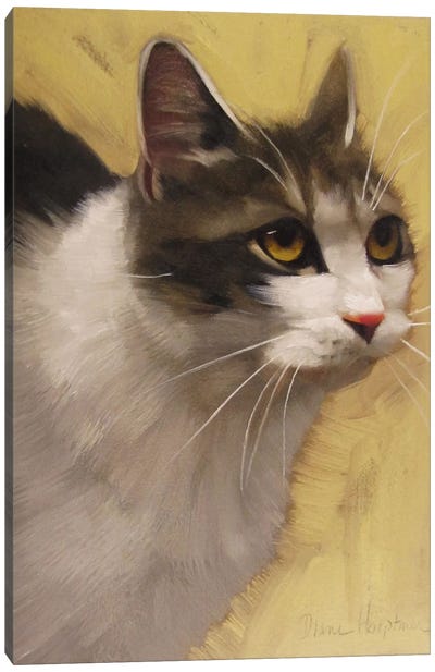 Derby Cat Canvas Art Print