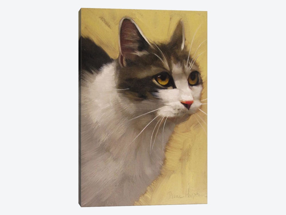 Derby Cat 1-piece Canvas Art Print