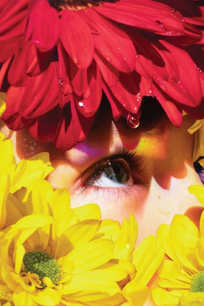 Mr.Brightside by David Shepherd multi panel art