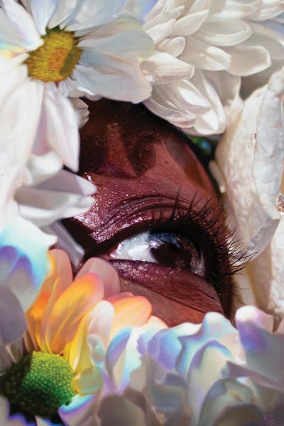 Steel Magnolia by David Shepherd multi panel art