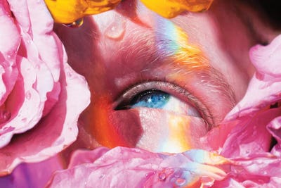 Gravity by David Shepherd multi panel art