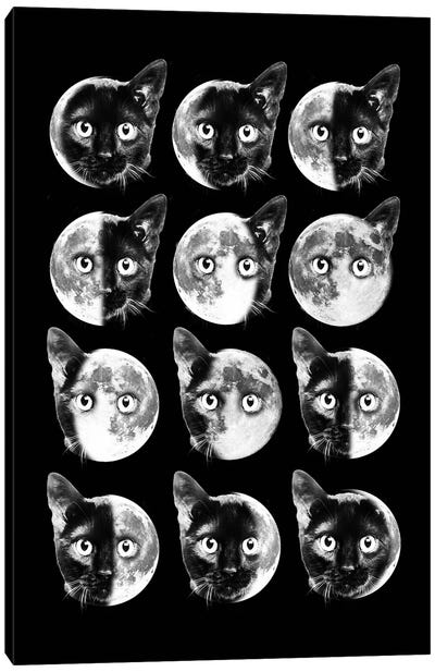 Cat Moon Phases Canvas Art Print - Moon Art